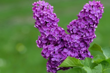 嘉兴嘉善1空放私借|企业资金短拆|嘉兴嘉善1私人放款快速借钱