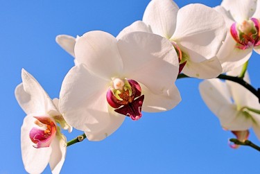 嘉兴嘉善1空放急用钱贷款|生意借钱周转|嘉兴嘉善1急用钱个人贷款