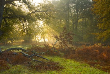 嘉兴嘉善1空放零用贷|个人信用借款|嘉兴嘉善1私人24小时借钱